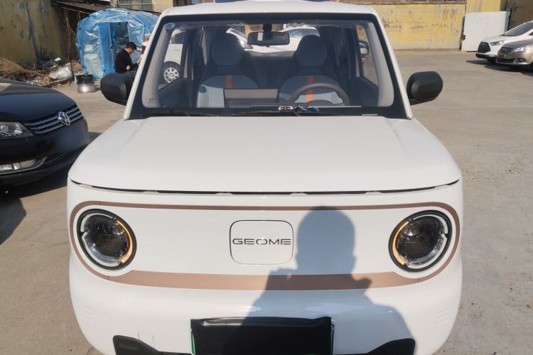 Used  Panda 2024 Panda Mini 200km Endurance Bear
