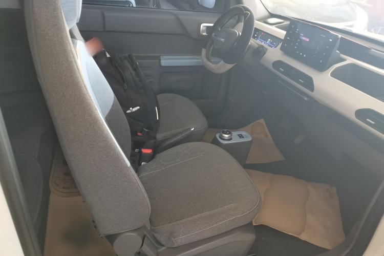 Used  Panda 2023 Panda Mini 200km Endurance Bear