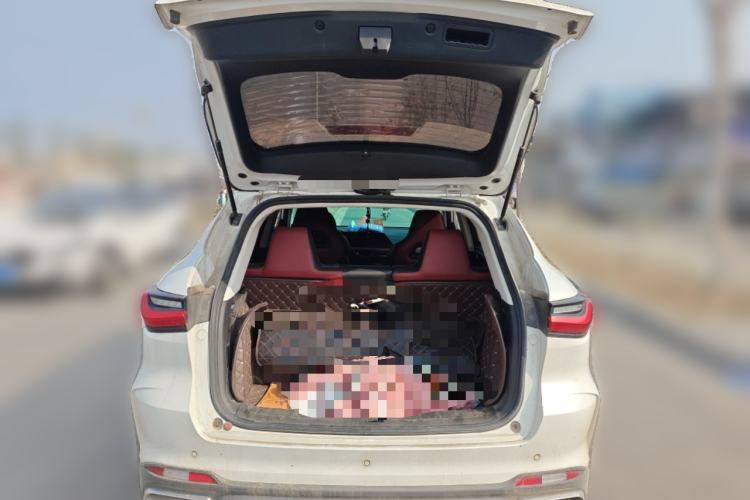 Used Oshan X5 2021 1.5T DCT Prestige Edition