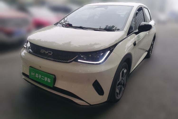 Used BYD Dolphin 2025 Smart Drive Version 420 km Freedom Edition