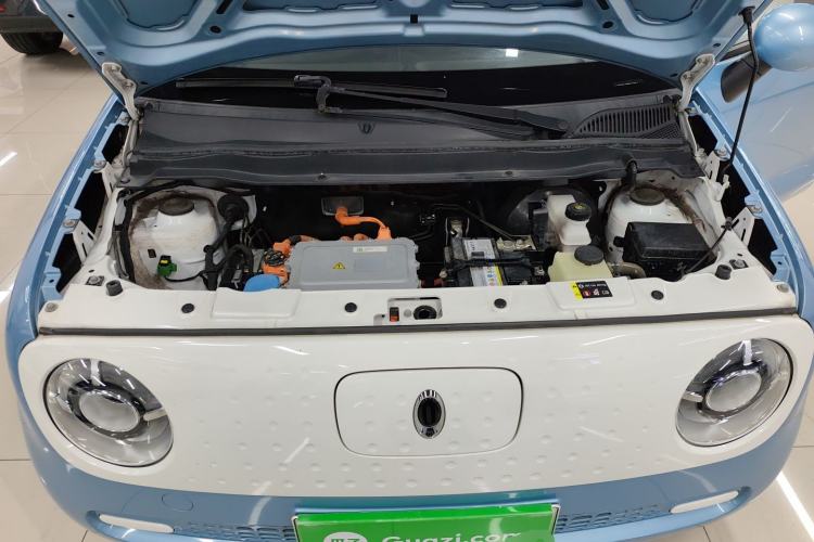 Used ORA Black Cat 2021 301 km Basic Version
