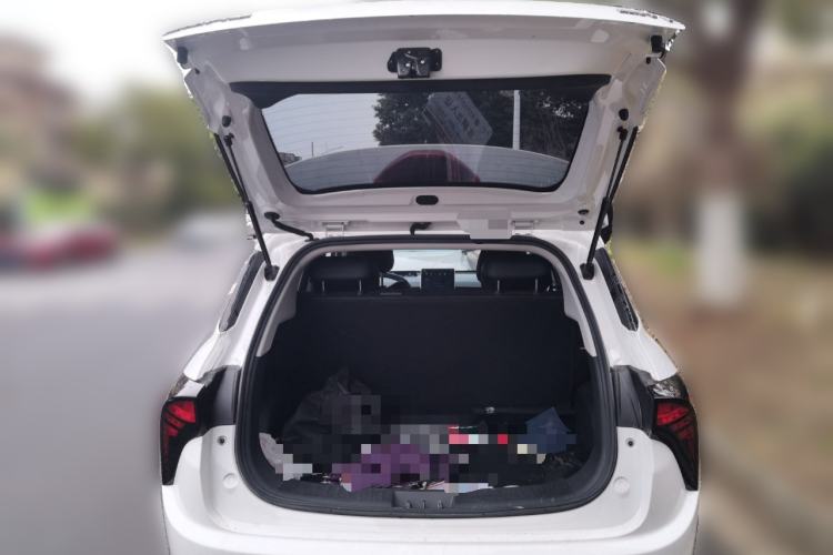 Used NETA V 2021 Long-Range Entertainment Edition Upgrade Model
