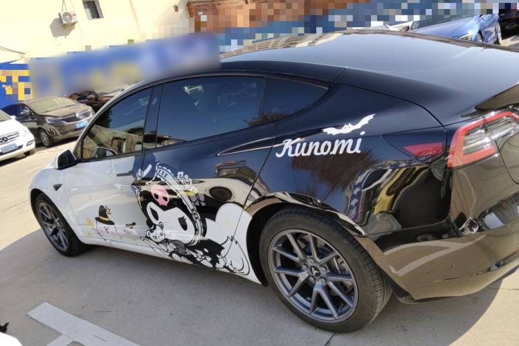 Used Tesla Model 3 2022 Rear-Wheel-Drive Version
