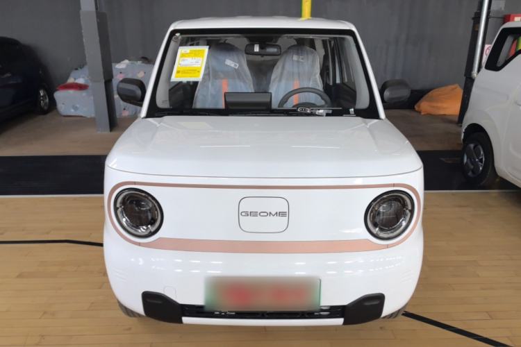 Used  Panda 2024 Panda Mini 200km Endurance Bear
