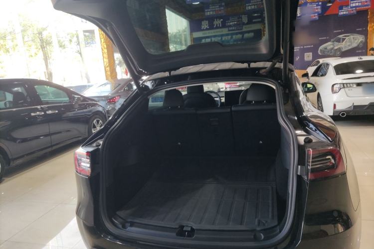 Used Tesla Model Y 2021 Standard Range Rear-Wheel Drive Version
