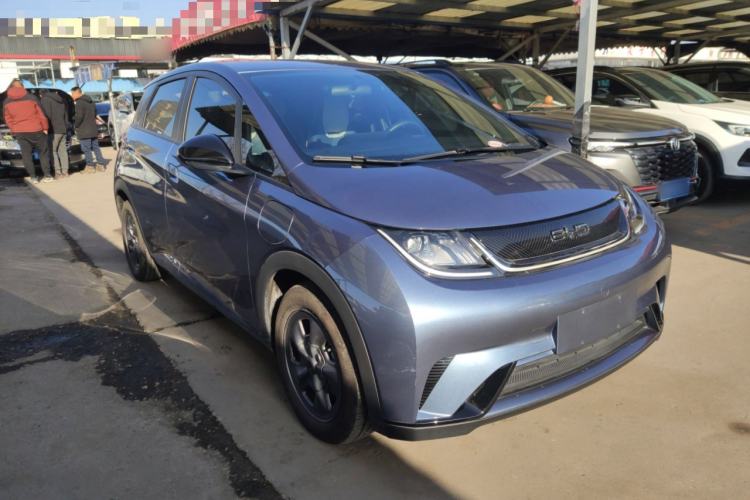 Used BYD Dolphin 2024 Honor Edition 302km Dynamic Version
