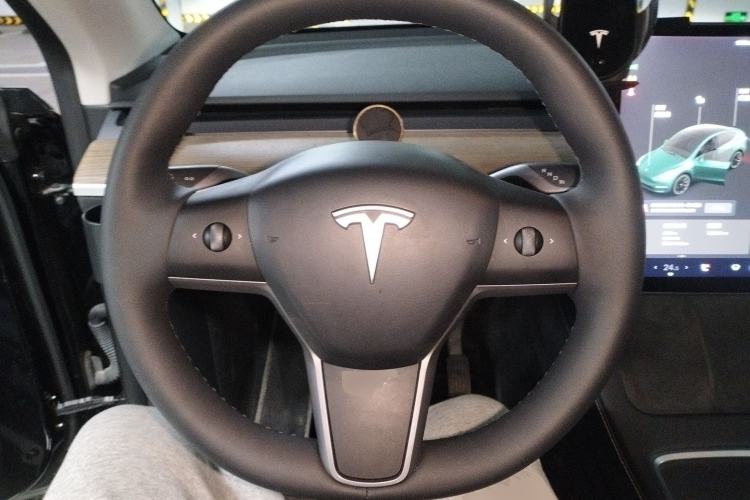 Used Tesla Model Y 2021 Standard Range Rear-Wheel Drive Version
