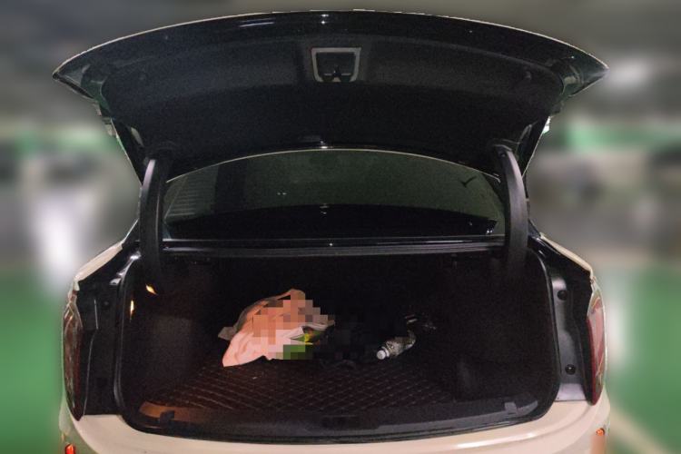 Used Hongqi E-QM5 2023 620km PLUS