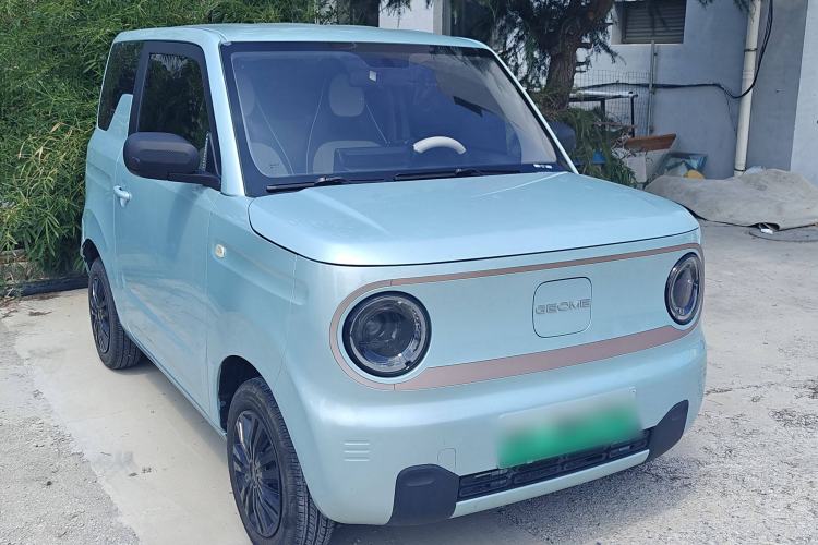 Used  Panda 2023 Panda Mini 200km Endurance Bear