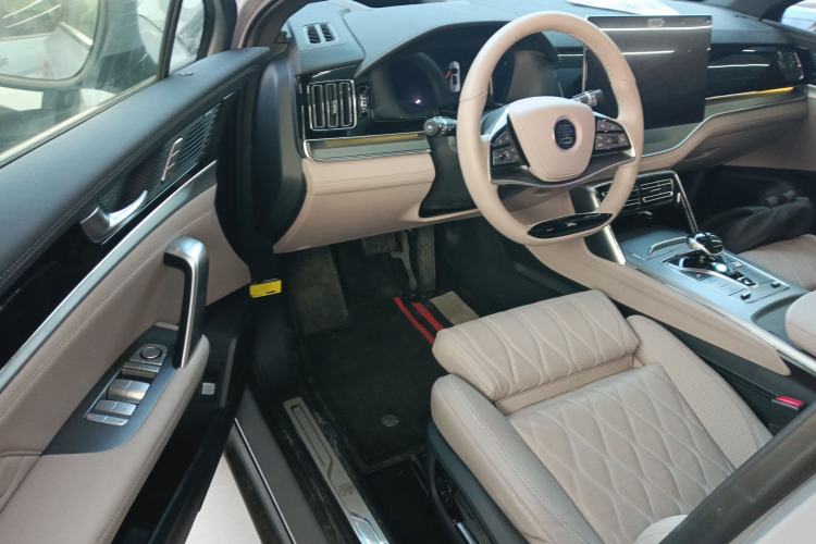 Used BYD Tang New Energy 2025 DM-i 115KM Cloud Ride Flagship Model
