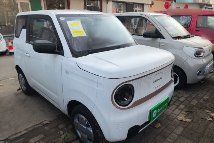 Used  Panda 2024 Panda Mini 200km Endurance Bear
