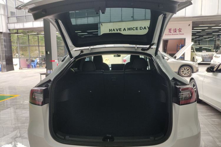 Used Tesla Model Y 2021 Standard Range Rear-Wheel Drive Version
