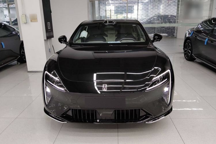 Used  06 2025 Max All-Electric Version
