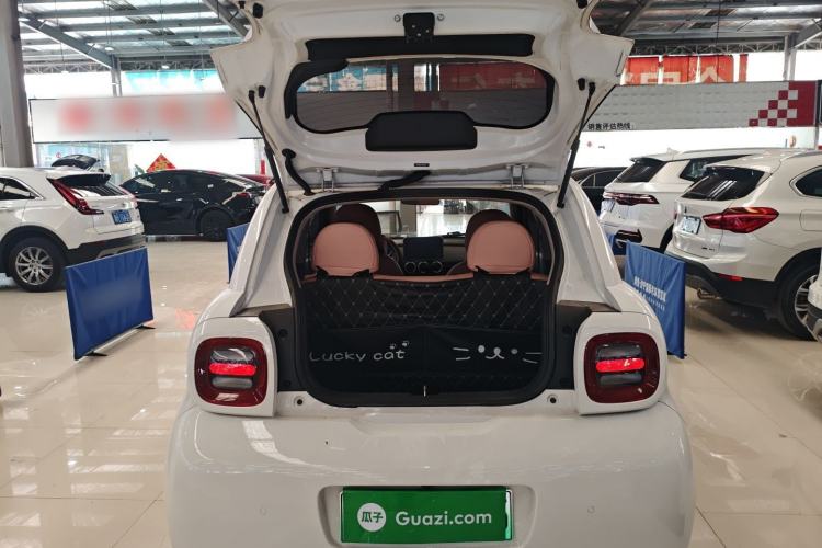 Used ORA Black Cat 2022 Updated Version 301 km Cute Pet Edition Lithium Iron Phosphate