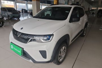 Used Venucia e30 2021 Elite Edition