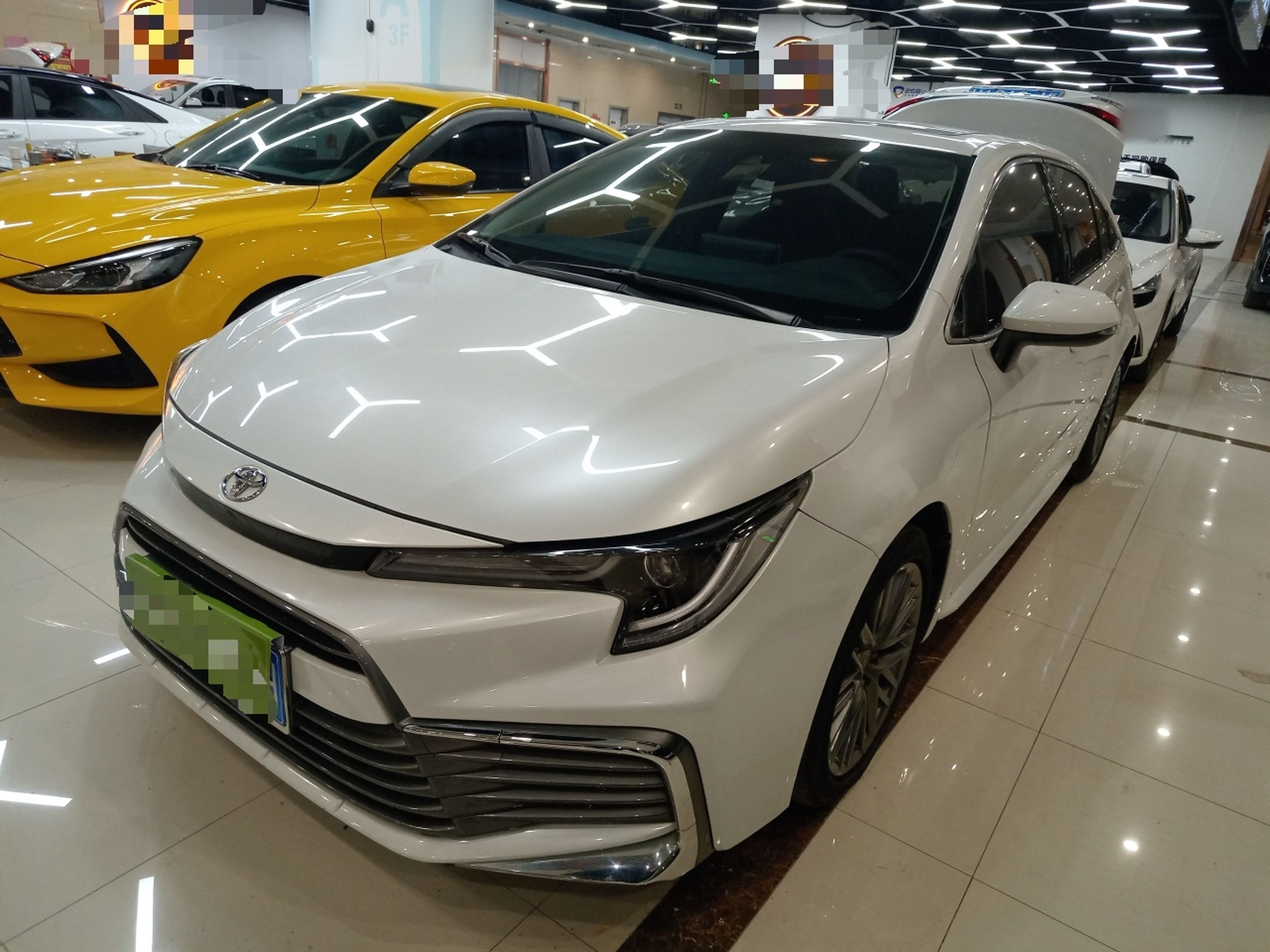 تحت مقدمة السيارة