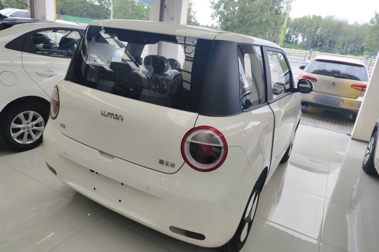 Used  Lumin 2025 205 km Xiangqin Version