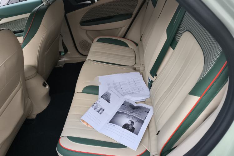 Used ORA Good Cat 2022 Morandi Edition 400km Standard Range Luxury Version Lithium Iron Phosphate
