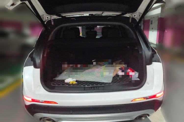 Used Lincoln Corsair 2020 2.0T Two-Wheel Drive Luxury Edition
