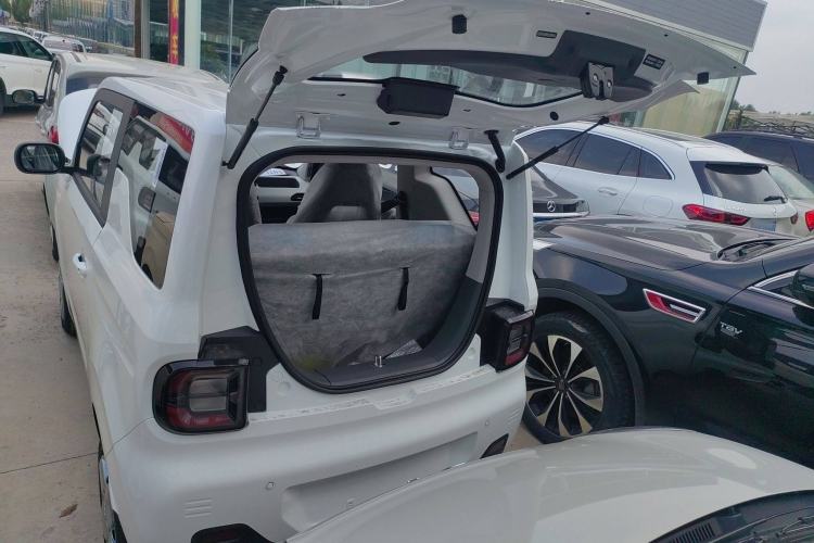 Used  Panda 2024 Panda Mini 200km Endurance Bear