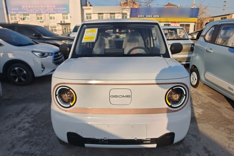 Used  Panda 2024 Panda Mini 200km Endurance Bear