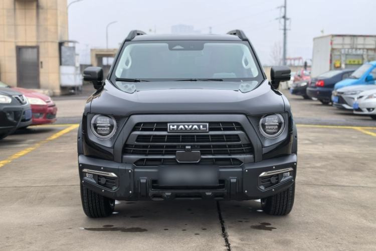 Used Haval DARGO 2024 2.0T DCT Chinese Rural Dog Edition