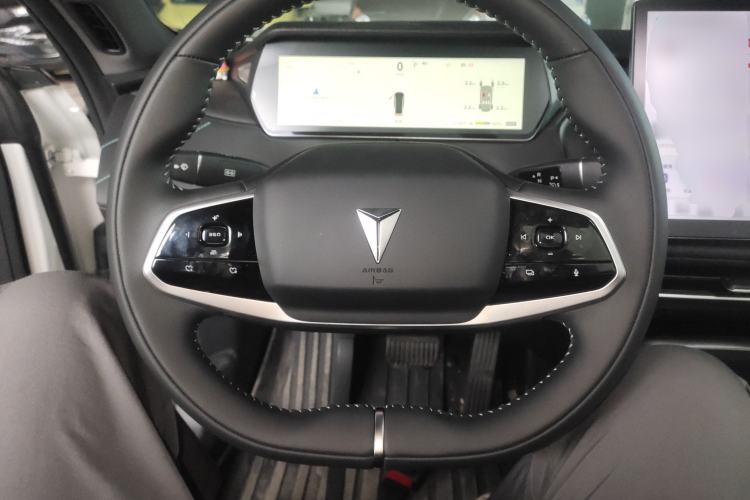 Used  SL03 2025 Pure Electric Elite Model
