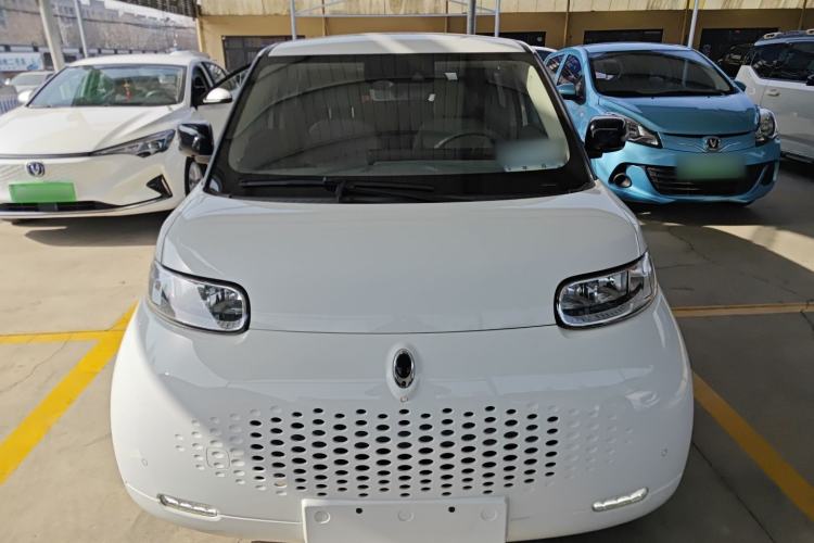 Used ORA White Cat 2020 401 km Flagship Version