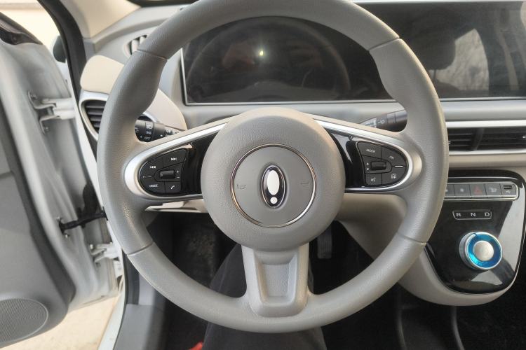 Used ORA White Cat 2022 Xiaoyue Mao Edition 360 km Luxury Model Lithium NMC
