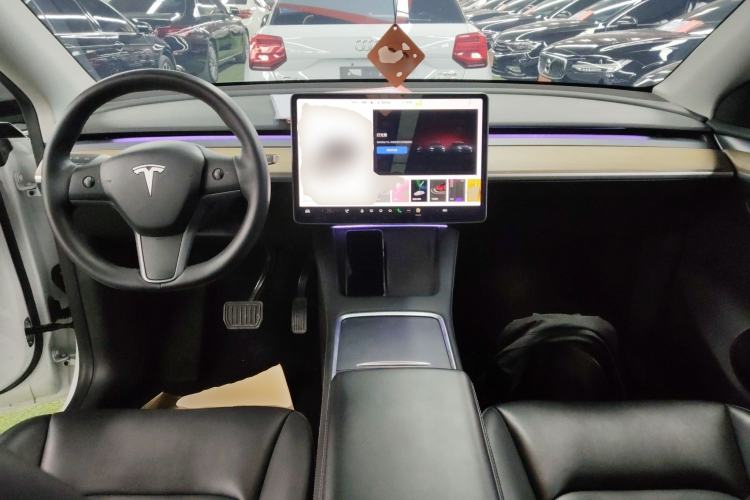 Used Tesla Model Y 2021 Standard Range Rear-Wheel Drive Version
