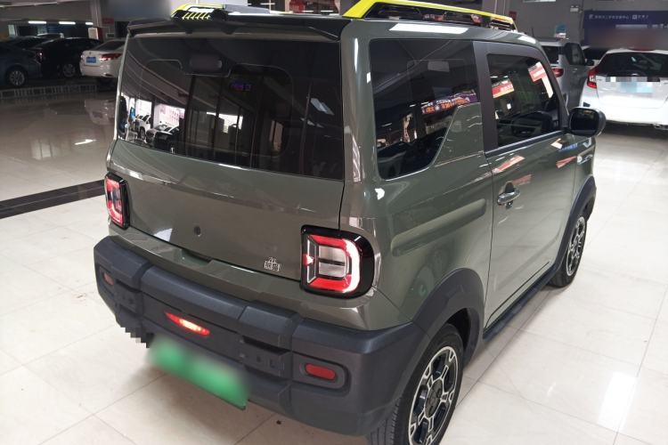 Used  Panda 2024 200km Panda Rider