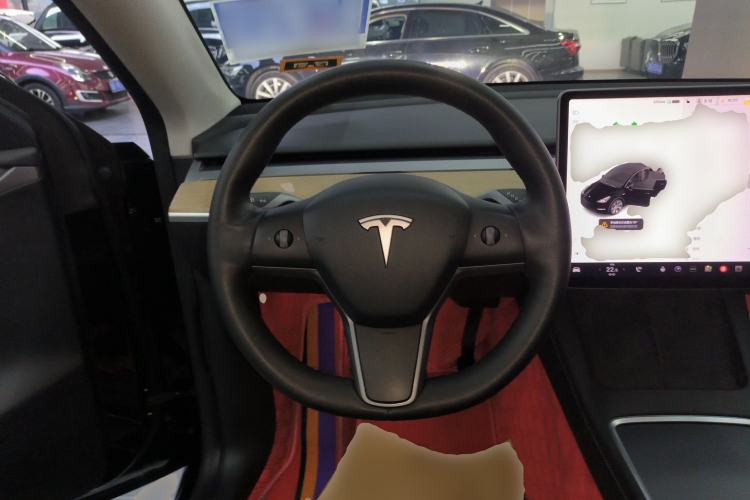 Used Tesla Model Y 2021 Standard Range Rear-Wheel Drive Version
