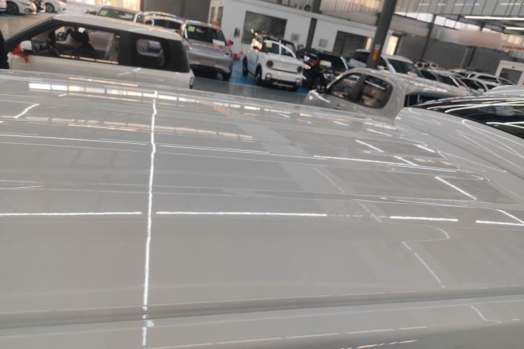 Used  Panda 2024 Panda Mini 200km Endurance Bear
