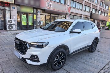 Used Haval H6 2023 National Trend Edition 1.5T Automatic Urban Version