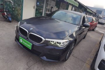 Used BMW 5 Series 2019 530Li Leading Model M Sport Package