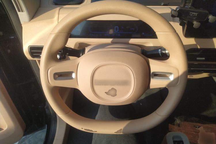 Used  Panda 2024 200km Panda Kart
