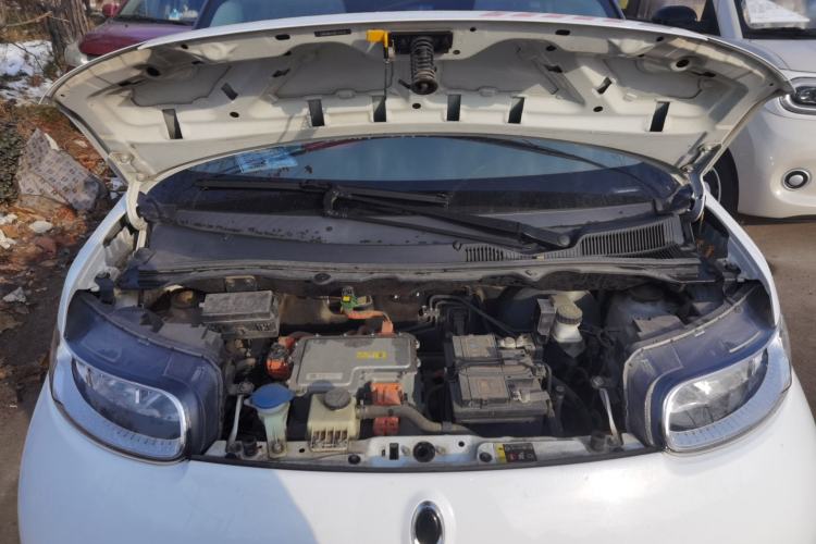 Used ORA White Cat 2020 305 km Luxury Version
