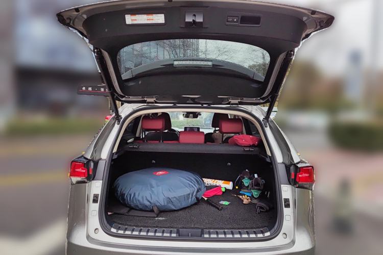 Used Lexus NX 2018 300h Front-Wheel-Drive FENGSHANG Version China V Emission Standard