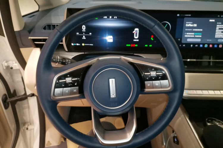 Used Wey Gaoshan 2023 Four-Wheel Drive Flagship Edition
