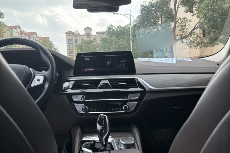 Used BMW 5 Series 2020 530Li Leading Edition Luxury Package