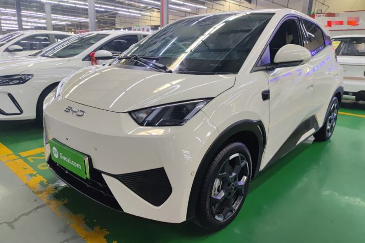 Used BYD Seagull 2025 Smart Drive Version 305 km Freedom Edition