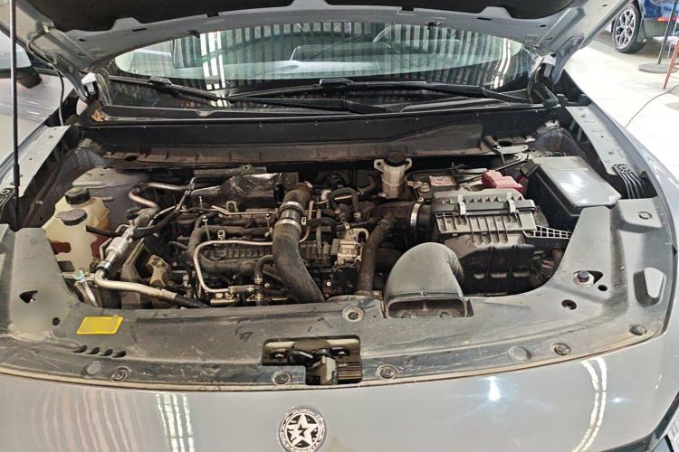 Used Venucia V 2021 260T Tianwang Edition
