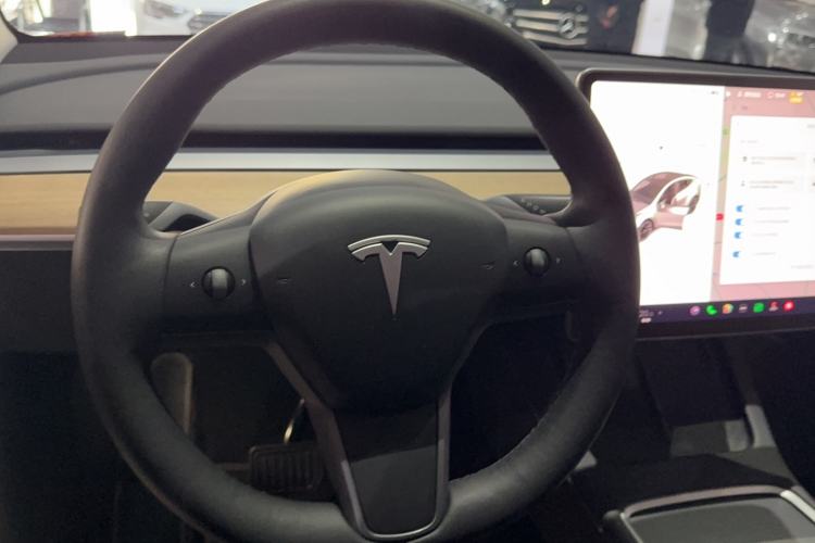 Used Tesla Model Y 2021 Standard Range Rear-Wheel Drive Version
