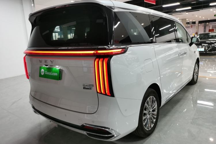 Used Wey Lanshan 2023 Four-Wheel Drive Ultra-Long Range Version
