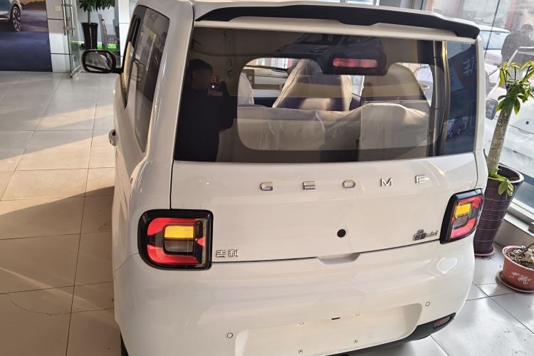 Used  Panda 2025 210 km – Yuanqi Bear
