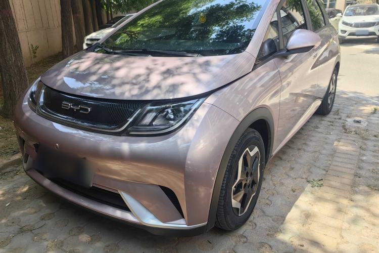 Used BYD Dolphin 2021 405 km Free Version
