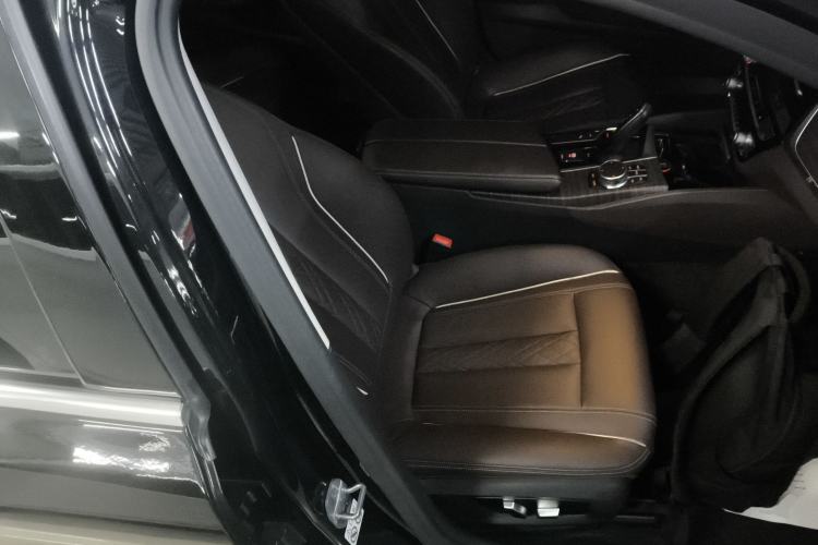 Used BMW 5 Series New Energy 2019 530Le Luxury Package
