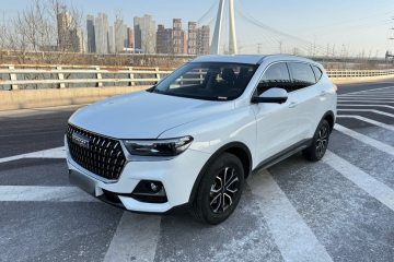 Used Haval H6 2023 National Trend Edition 1.5T Automatic Urban Version