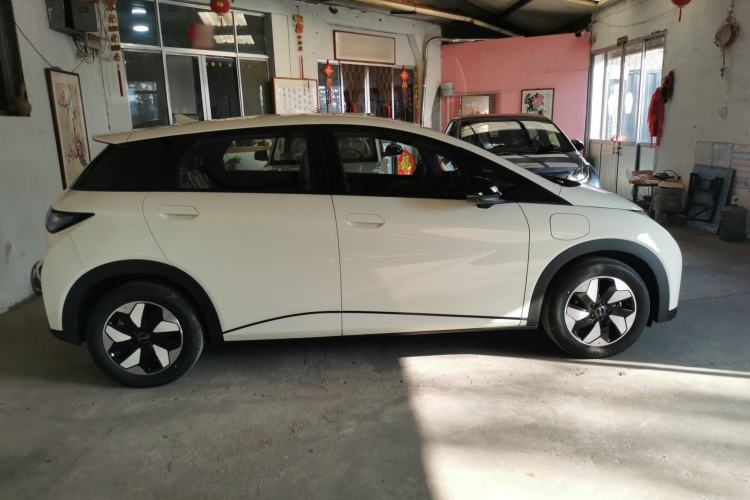 Used BYD Dolphin 2025 420km Free Edition
