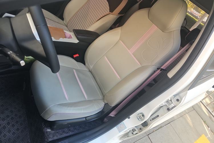 Used SOL E10X 2022 Flower Fairy Design Four-Leaf Clover
